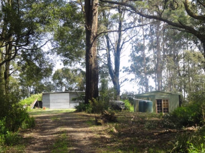 Turtons Creek VIC 3960