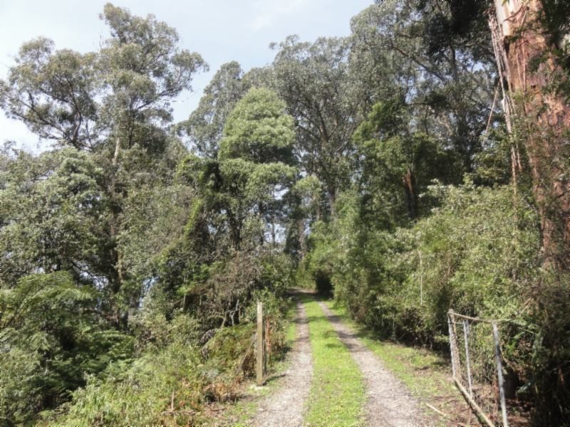 Turtons Creek VIC 3960