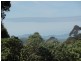 Turtons Creek VIC 3960
