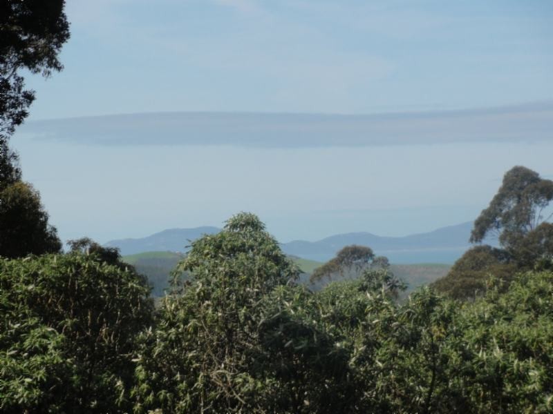 Turtons Creek VIC 3960