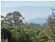 Turtons Creek VIC 3960