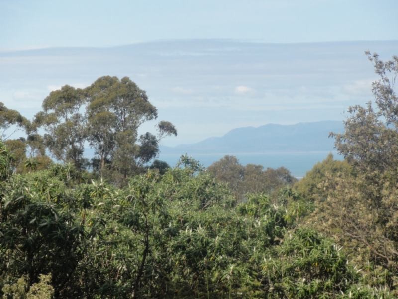 Turtons Creek VIC 3960