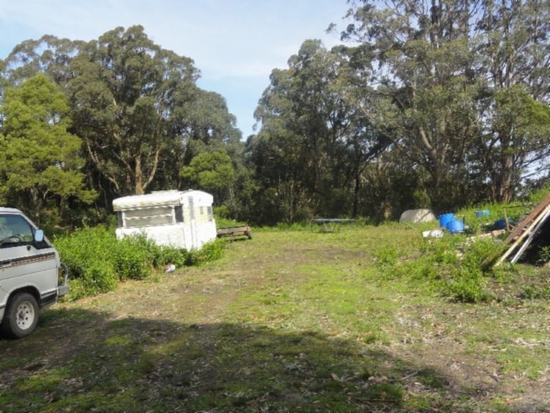 Turtons Creek VIC 3960