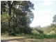 Turtons Creek VIC 3960