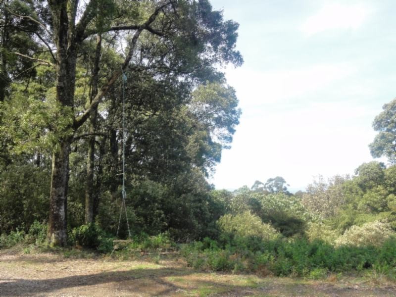 Turtons Creek VIC 3960