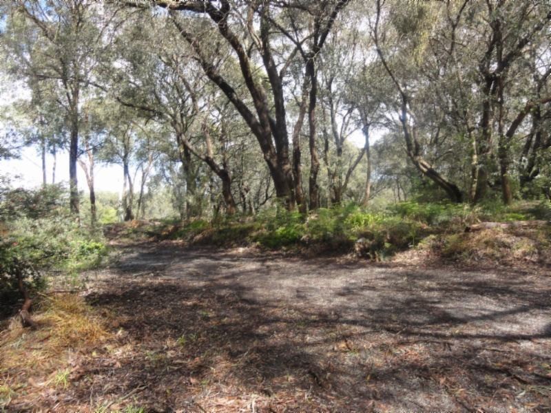 1 McDonald St, Foster VIC 3960
