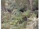 380 McCartins Track, Foster VIC 3960