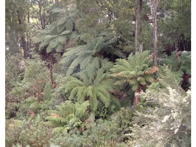 380 McCartins Track, Foster VIC 3960