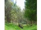 380 McCartins Track, Foster VIC 3960