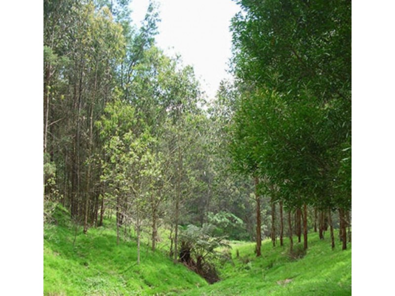 380 McCartins Track, Foster VIC 3960
