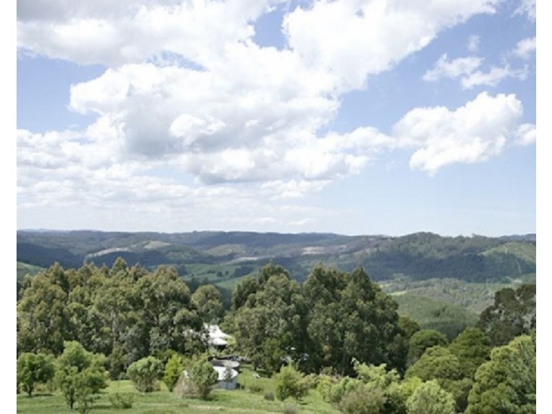 380 McCartins Track, Foster VIC 3960
