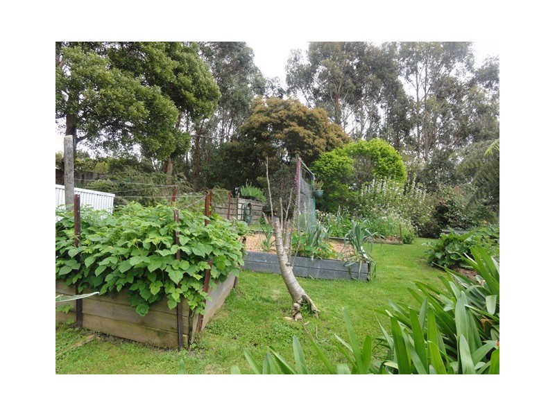 380 McCartins Track, Foster VIC 3960