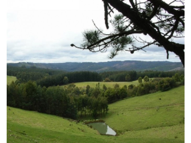 Lot 2/380 McCartins Rd, Foster VIC 3960