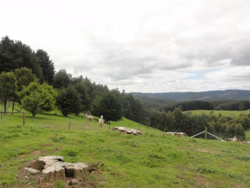 Lot 2/380 McCartins Rd, Foster VIC 3960