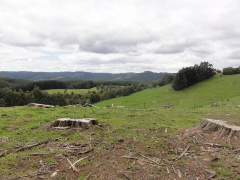 Lot 2/380 McCartins Rd, Foster VIC 3960