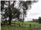 40 Franklin River Rd, Toora North VIC 3962