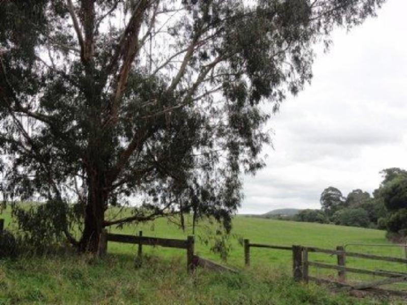 40 Franklin River Rd, Toora North VIC 3962