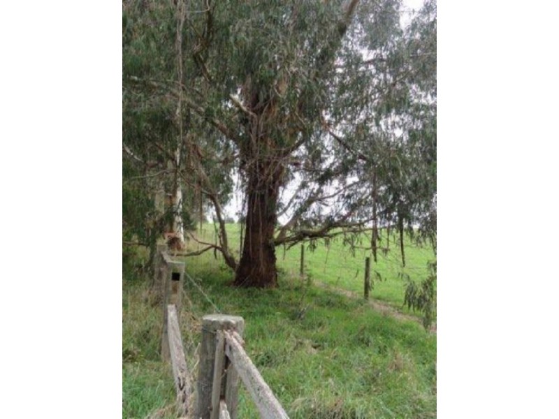 40 Franklin River Rd, Toora North VIC 3962