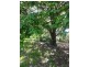 1885 Fish Creek-Prom. Rd, Fish Creek VIC 3959