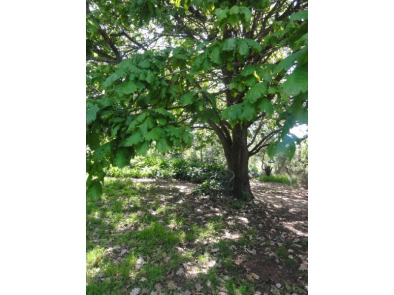 1885 Fish Creek-Prom. Rd, Fish Creek VIC 3959