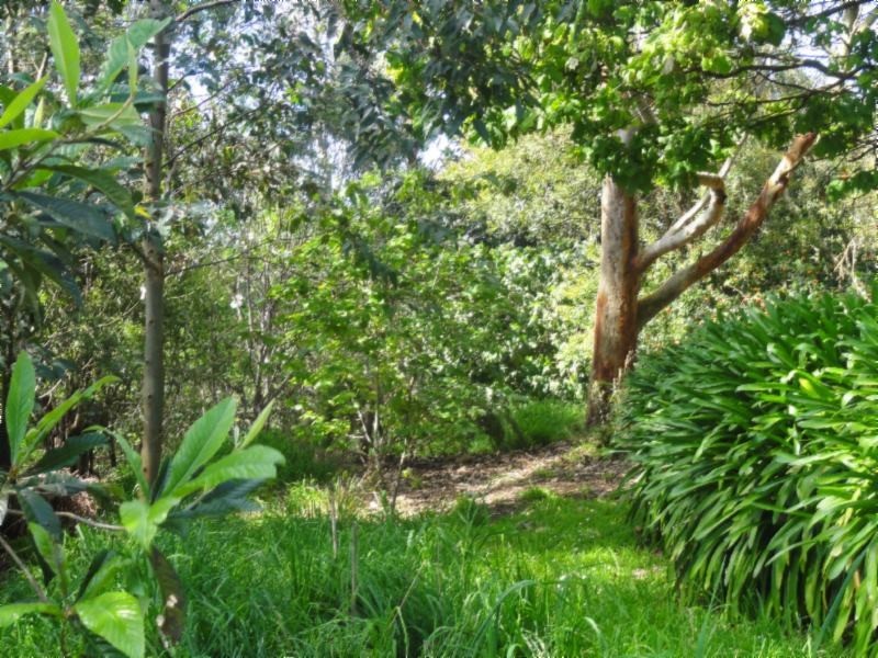 1885 Fish Creek-Prom. Rd, Fish Creek VIC 3959
