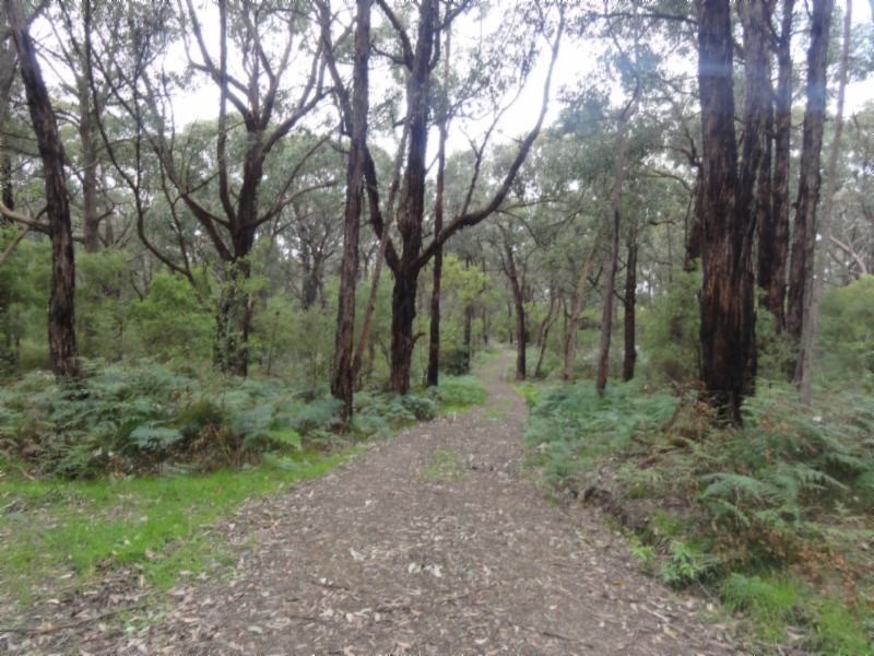 1 Morgans Rd, Hedley VIC 3967