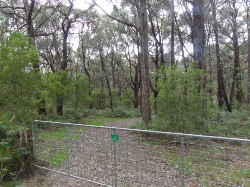 1 Morgans Rd, Hedley VIC 3967