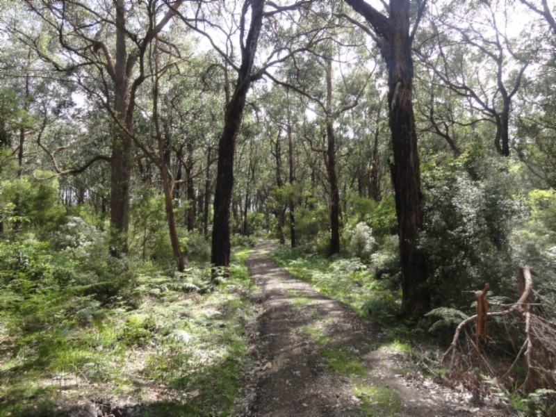 1 Morgans Rd, Hedley VIC 3967