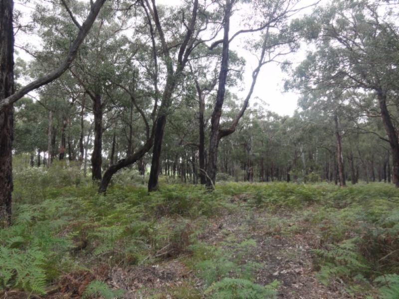 1 Morgans Rd, Hedley VIC 3967