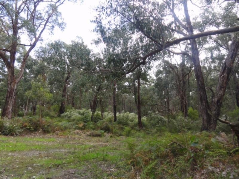 1 Morgans Rd, Hedley VIC 3967