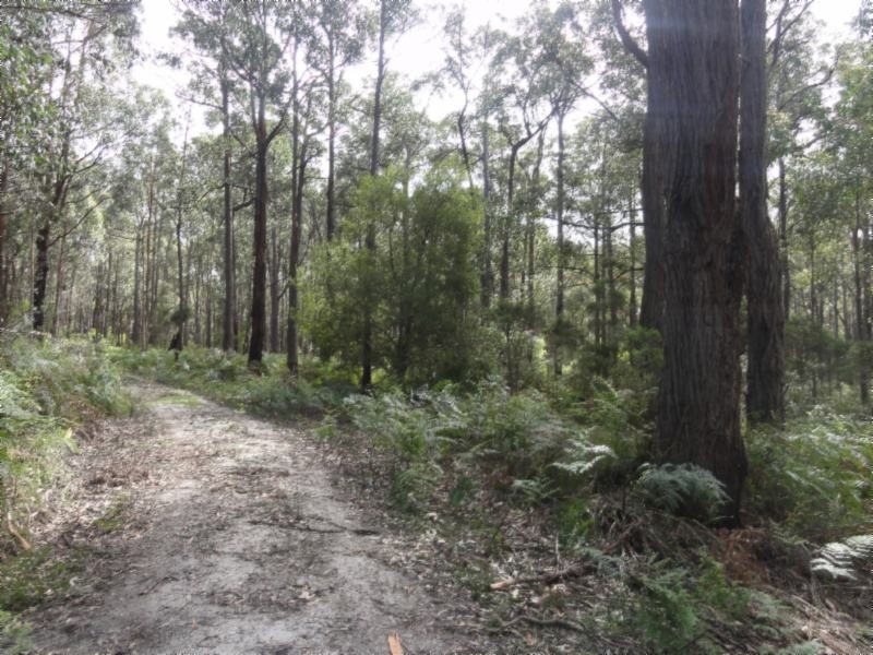 1 Morgans Rd, Hedley VIC 3967