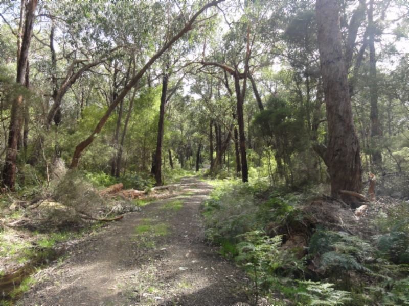 1 Morgans Rd, Hedley VIC 3967