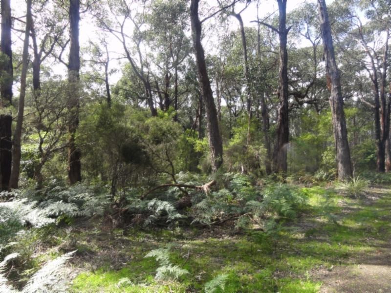 1 Morgans Rd, Hedley VIC 3967