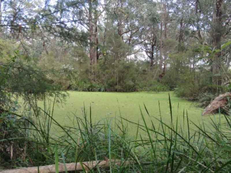 1 Morgans Rd, Hedley VIC 3967