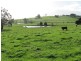 2485 Westernport Road, Ripplebrook VIC 3818