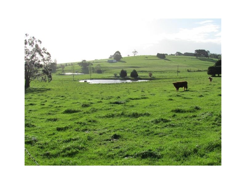 2485 Westernport Road, Ripplebrook VIC 3818