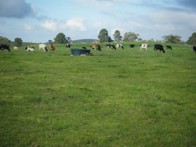 595 Woorarra Rd, Welshpool VIC 3966