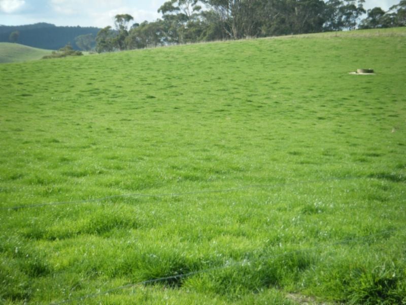 595 Woorarra Rd, Welshpool VIC 3966