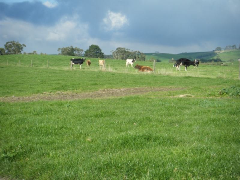 595 Woorarra Rd, Welshpool VIC 3966