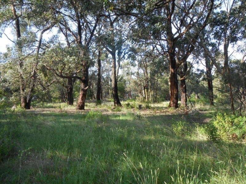 5634 South Gippsland Hwy, Agnes VIC 3962