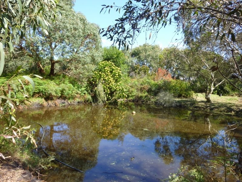 460 Millar Rd, Yanakie VIC 3960