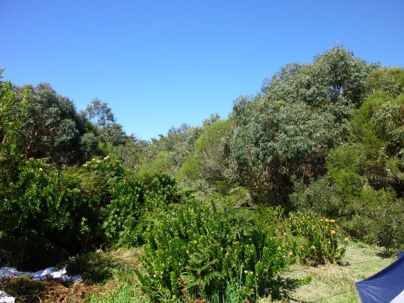 460 Millar Rd, Yanakie VIC 3960