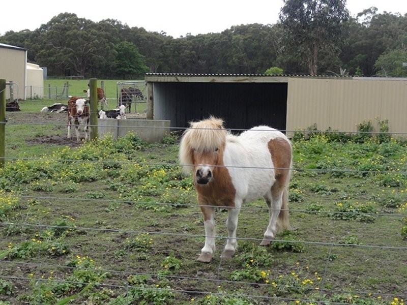 40 Moores Rd, Buffalo VIC 3958