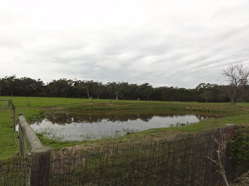 40 Moores Rd, Buffalo VIC 3958