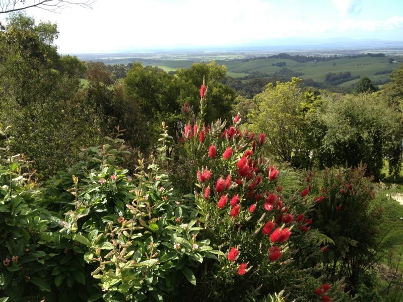 900 Ameys Track, Foster North VIC 3960