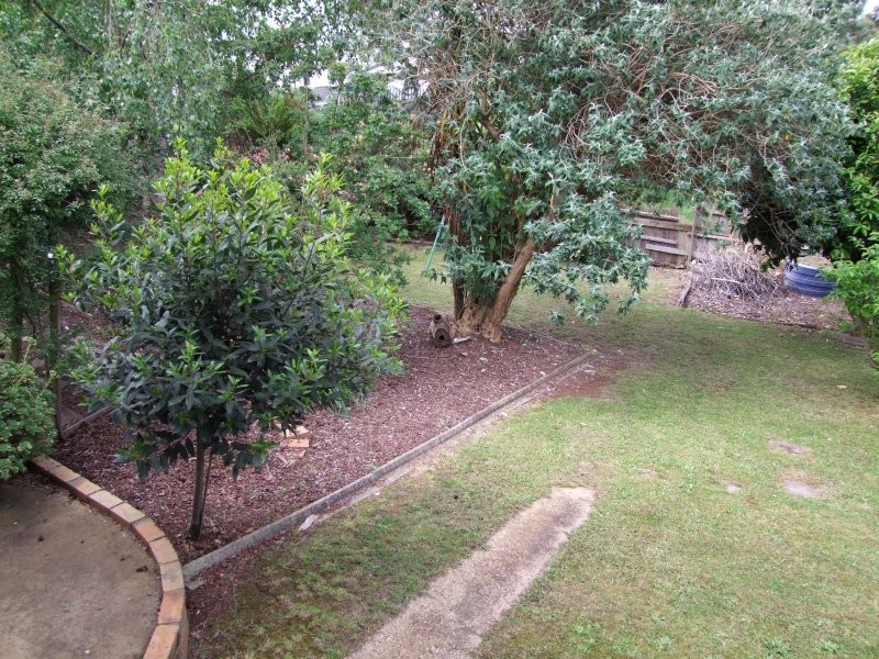 31 Blackmore Avenue, Leongatha VIC 3953