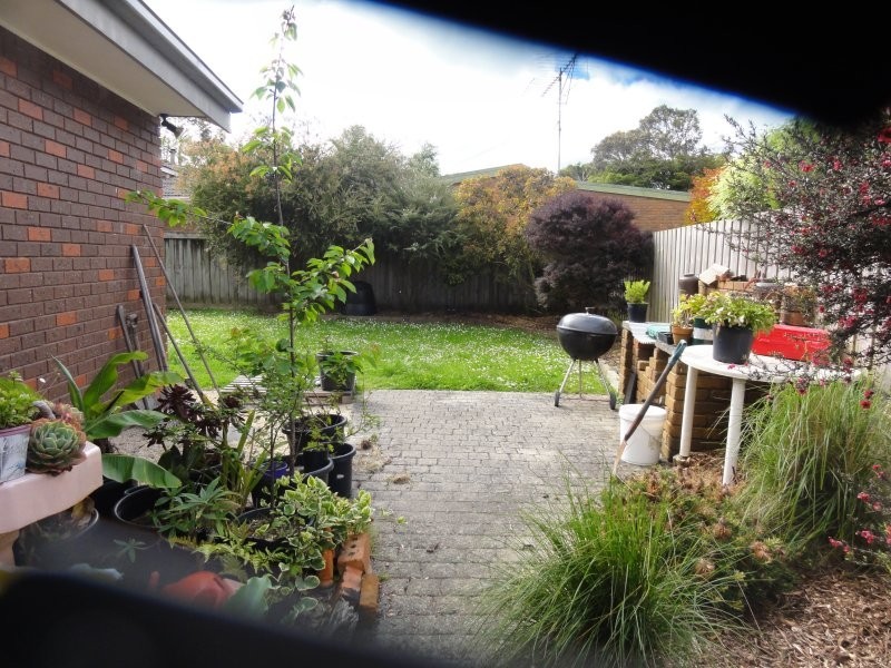 17 Collis St, Foster VIC 3960