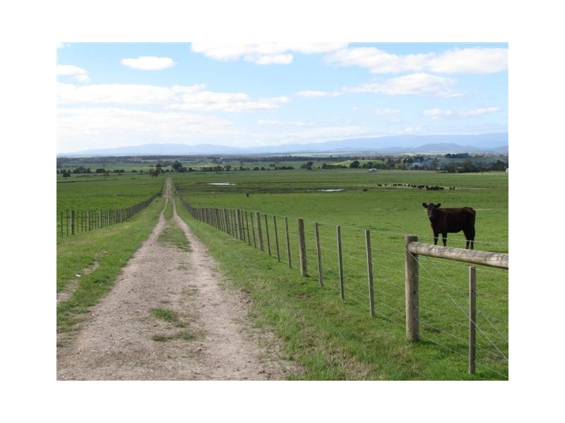 480 Waterloo Road, Trafalgar East VIC 3824