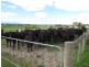 480 Waterloo Road, Trafalgar East VIC 3824