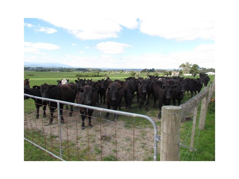 480 Waterloo Road, Trafalgar East VIC 3824